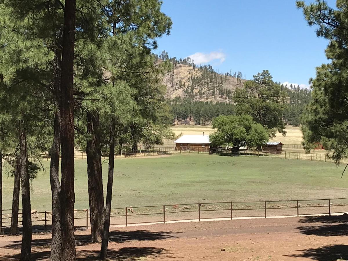 Grand Canyon 1Bd Loft/Suite-Horseback Riding-Shooting-Dogs Ok! Parks Exterior photo